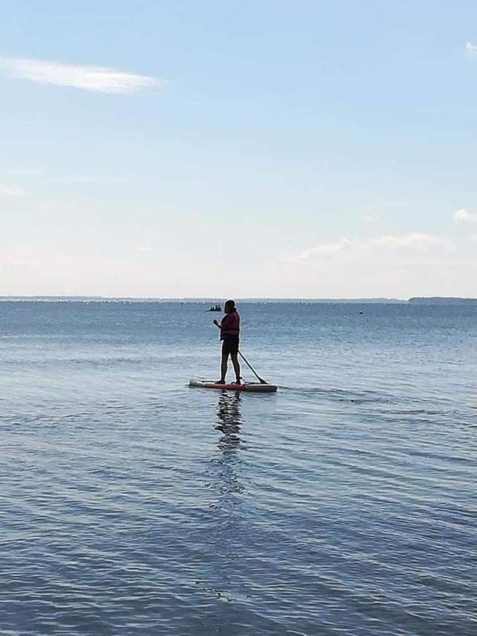 Fewo Seeblick - Familien - Hunde - Strandnah - Ostseeblick - Sauna & Wellness Sierksdorf Ngoại thất bức ảnh